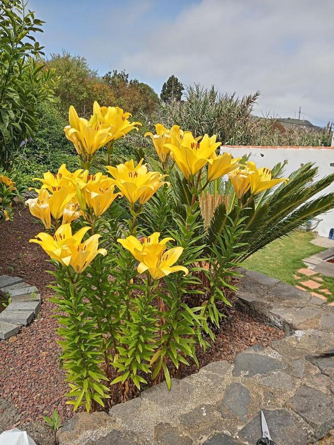 El Cercado Leilighet Icod De Los Vinos Eksteriør bilde
